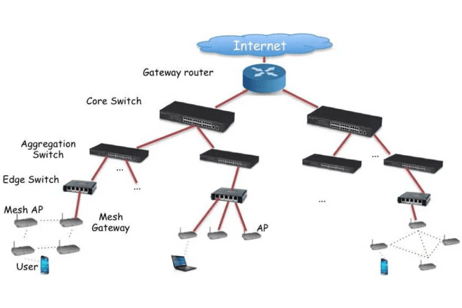Campus Networking