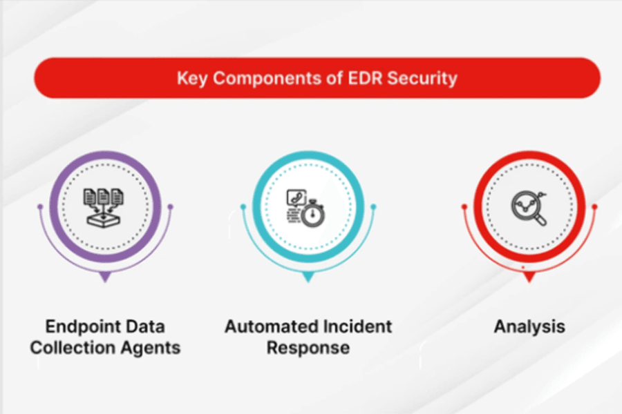Endpoint Security & Compliance